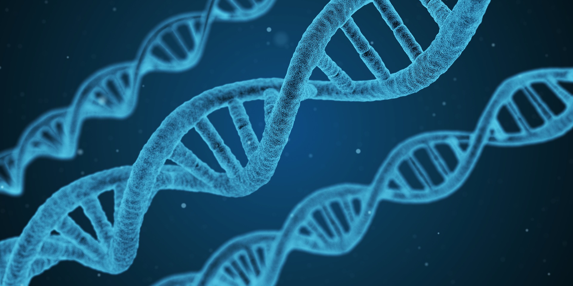 What is the Process for DNA Testing? - Endeavor DNA