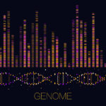 immigration dna testing tx