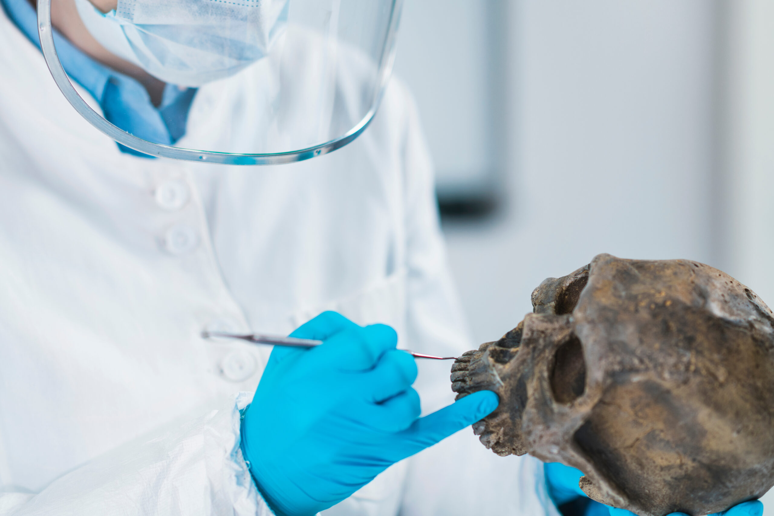 forensic-dna-testing-solves-the-mysteries-of-the-past-endeavor-dna