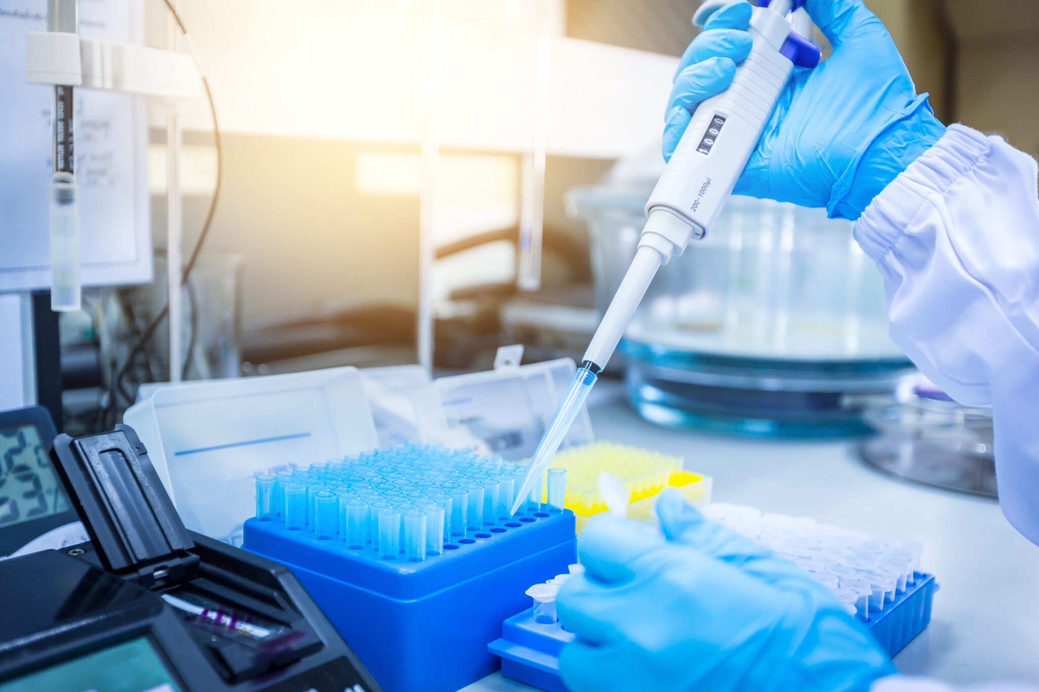 How Does PCR Covid Testing Work? - Endeavor DNA Laboratories